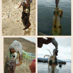 サーフエソング(>_<)